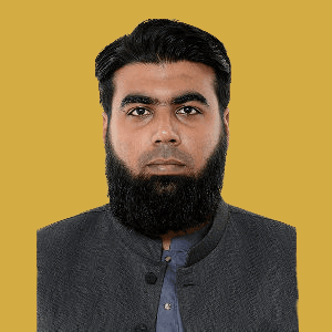 Muhammad Raheel Sajid